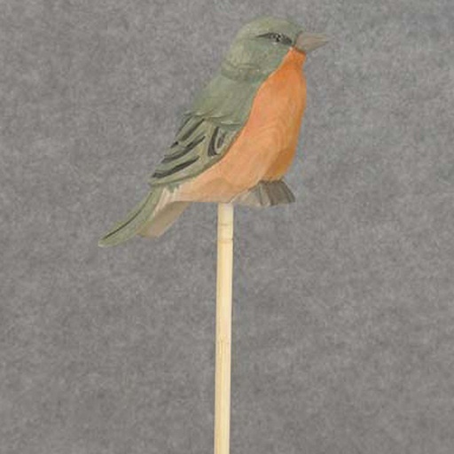 [BA6017] BIRD PICK WOOD 4.75" ROBIN 7.5" PICK