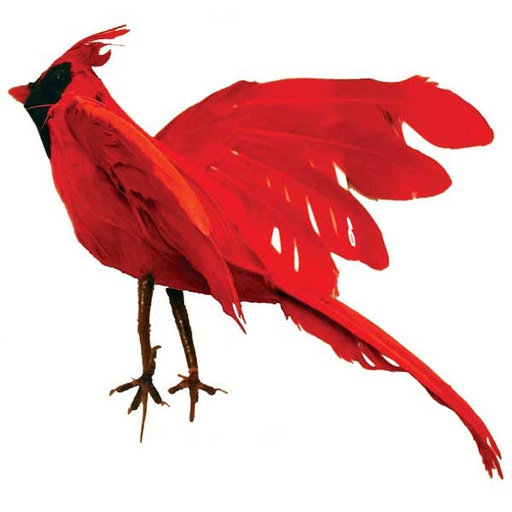 [B288-I] 6.5" FLYING FEATHER CARDINAL w/CLIP (INDIVIDUAL)