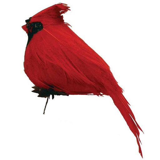 [B571] 2.5" FAT SITTING CARDINAL WITH FEATHERS