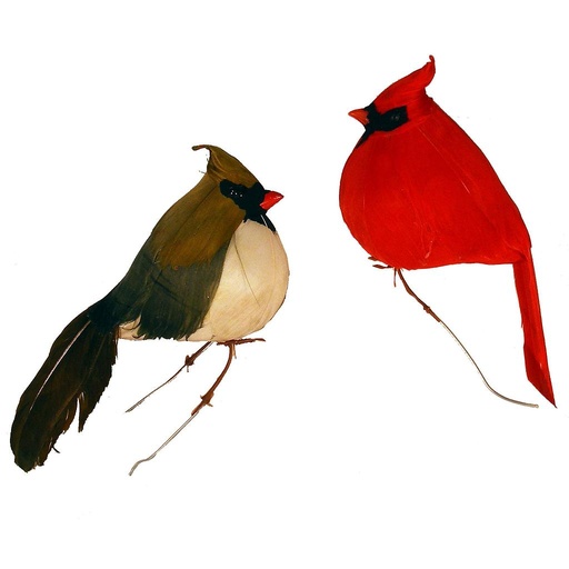 [B573-AST] 4.5" FAT SITTING MALE & FEMALE CARDINALS (6 OF EACH PER DZ)