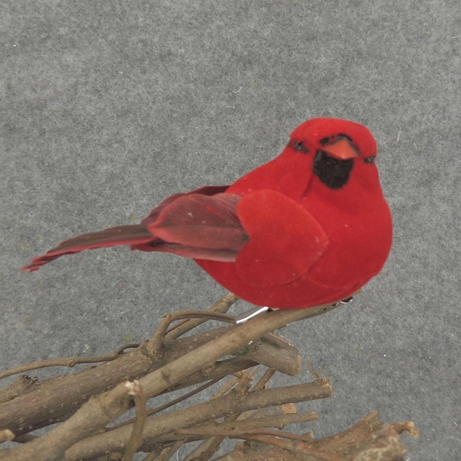 [B66619-CLP] CARDINAL 3.25" MUSHRM/FEA W/CLIP