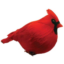 [B694M-I] 7&quot; MALE FAT CARDINAL  RED (INDIVIDUAL)