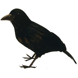 [B320756] 18&quot; CROW WITH FEET