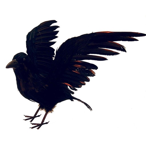 [B321226] 18" FLYING CROW 