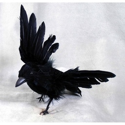 [B66039] CROW 6&quot; FLYING FEATHER WINGS UP