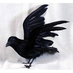 [B66043] CROW 10&quot; FLYING FEATHER