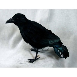 [B66045] CROW 10" STANDING FEATHER
