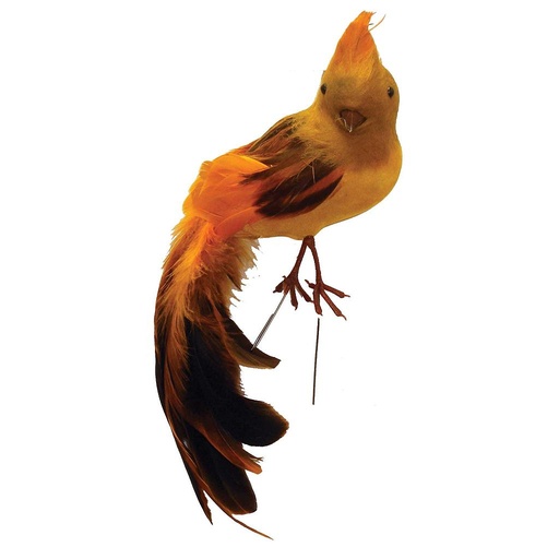 [B66561-MUS] 10" FEA/FLK LONG TAIL BIRD MUST W/FEA CROWN