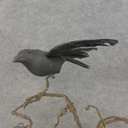 [B6765] CROW 10&quot; FLOCK/FEATHER W/CLIP
