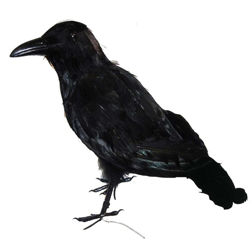 [B897] CROW 13" FEATHERED SITTING