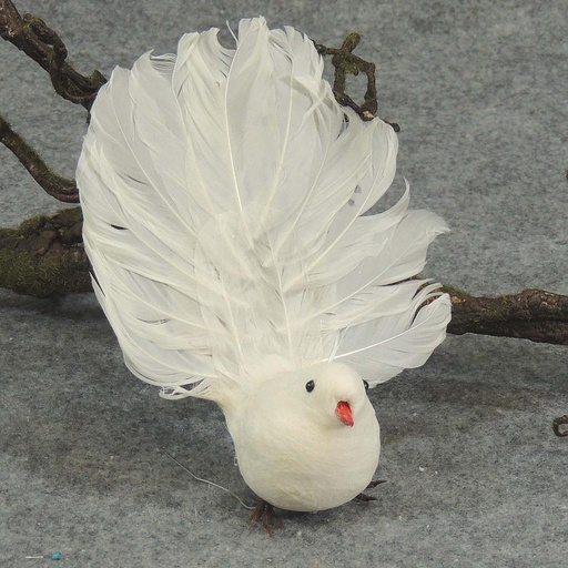 [B2405WHT] 5" OPEN TAIL DOVE  WHITE