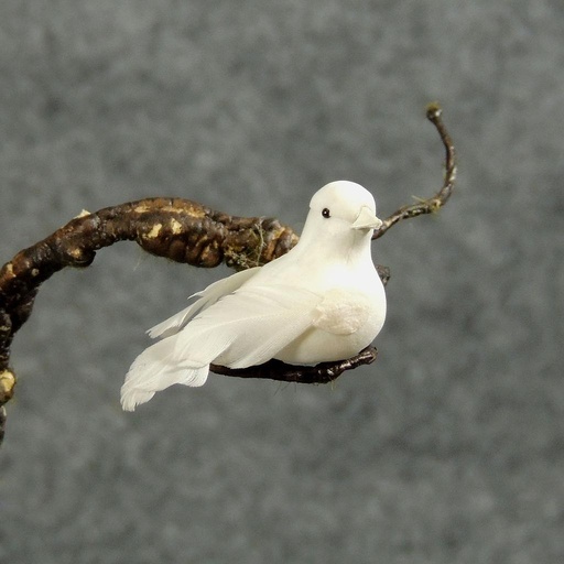 [B66327] DOVE 2" MUSHRM/FEA W/CLIP WHITE