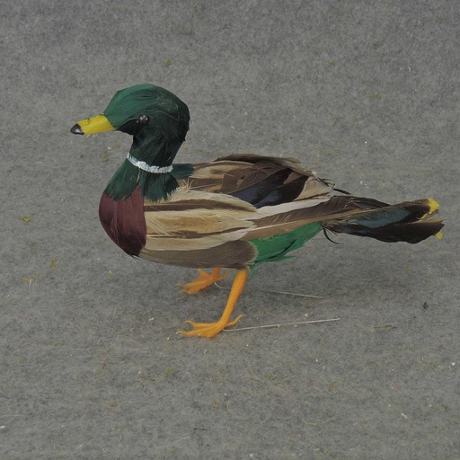 [B303] 8.5" FEATHERED MALLARD DUCK