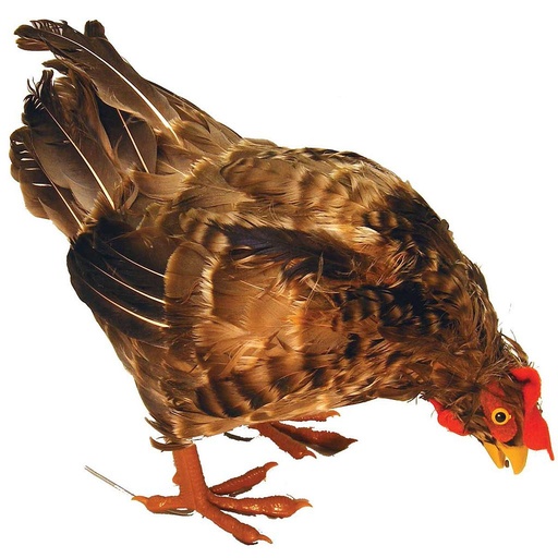 [B320785] 14" FEATHER HEN  FEEDING