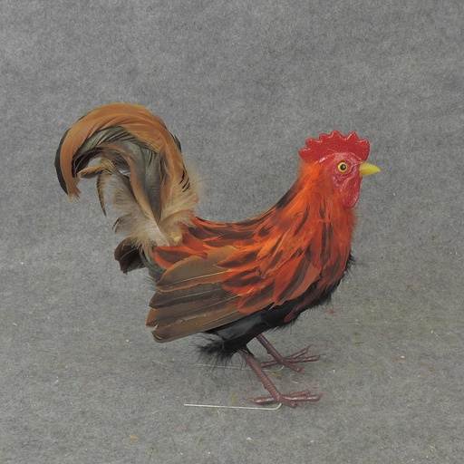 [B407] 15" NATURAL ROOSTER