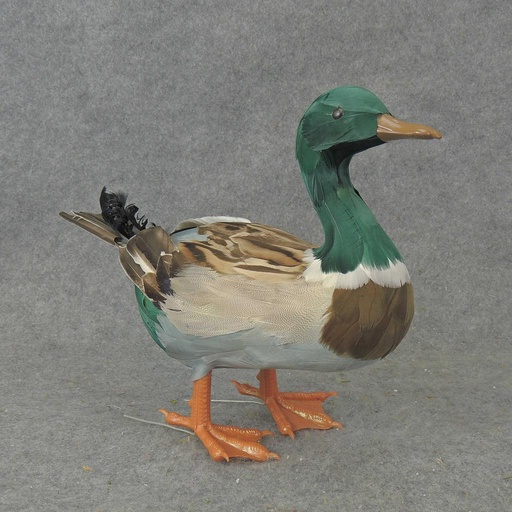 [B510] 12" FEATHERED STANDING MALLARD DUCK