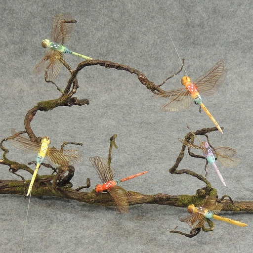 [B6706] DRAGONFLY W/WIRE 3.25" X 4.25" 6-ASST