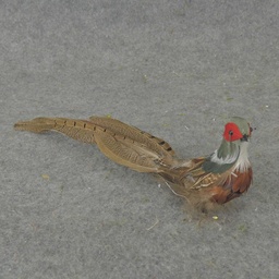 [B5149-I] 12" SITTING PHEASANT WITH FEATHERS (INDIVIDUAL)