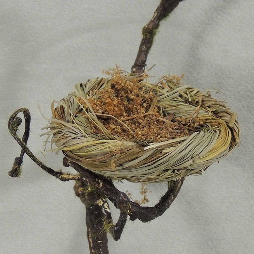 [B6728] NEST 3.15" (12/BAG) NATURAL