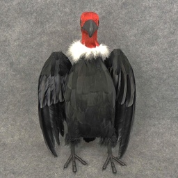 [B321181] 15&quot;HEAD UP VULTURE W/RED NECK