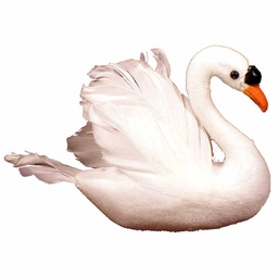[B66696] SWAN 4.5&quot; FLOCKED W/FEATHERS