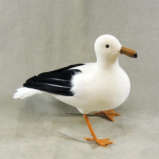 [B66712] SEAGULL 9.5"T x 13" FEA/FLOCKED STANDING