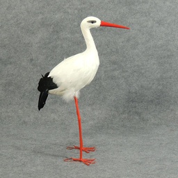[B898] STORK 18&quot; FEATHERED NATURAL