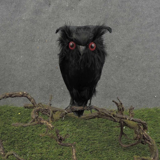 [B322160] 6.5" BLACK OWL ON WIRE FEET