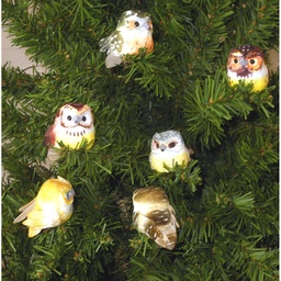 [B6697] OWL 2.5" W/CLIP  6-ASST'D