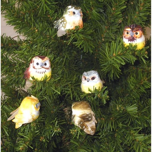 [B6697] OWL 2.5" W/CLIP  6-ASST'D