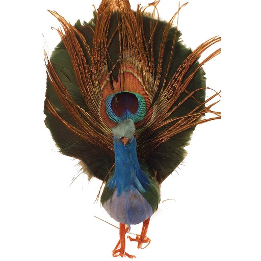 [B953-I] PEACOCK 5.5" FEATHERED NATURAL  (INDIVIDUAL)