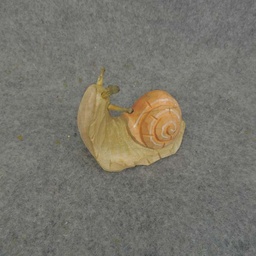 [BA6008] SNAIL WOOD 1x3.25&quot; SAND/RUST