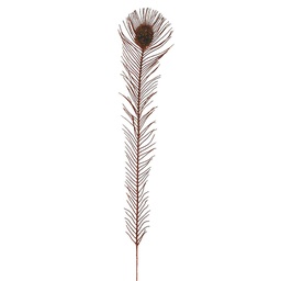 [BF1536-COP] 30.5" ARTIF. PEACOCK FEATHERS    COPPER