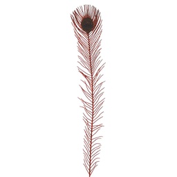 [BF1536-RED] 30.5" ARTIF. PEACOCK FEATHERS    RED