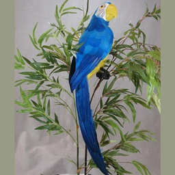 [B285-BLU] 28" PARROT BLUE