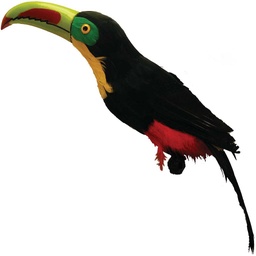 [B548] 22" FEATHERED TOUCAN