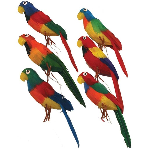 [B66722] PARROT 6" FEATHERED 4-ASST