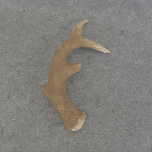 [BA6064] ANTLER SET ELK WOOD 12" 2/SET BROWN