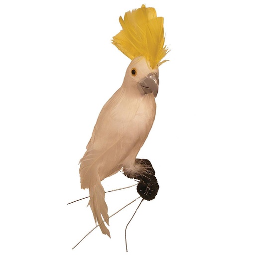 [B810WH-I] 10" FEATHER COCKATOO WHITE W/YELLOW COMB (INDIVIDUAL)