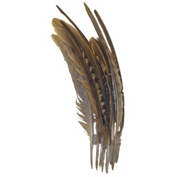 [BF-25] FEATHERS 7.5&quot; NATURAL BROWN