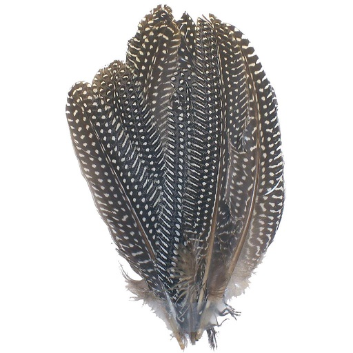 [BF-27] FEATHERS 8"-9" GUINEA FOWL BLK/WHT