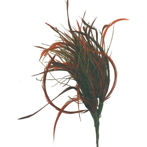 [BF321917-BUR] FEATHER SPRAY X 4  LT.BURGUNDY (12 BANDED)