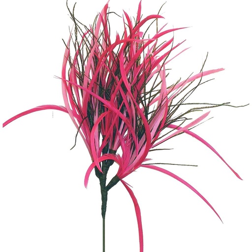 [BF321917-PNK] FEATHER SPRAY X 4  2-TONE PINK (12 BANDED)