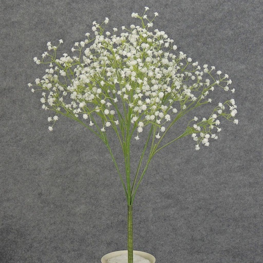 [S42547] GYP STARDUST BUNDLE WHITE  20" (7 STEMS)