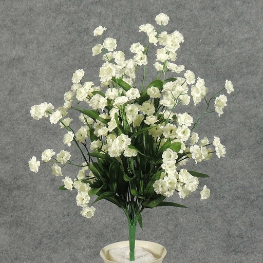 [S42887-CRM] GYP BUSH X10 CREAM