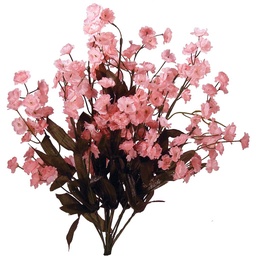[S42887-PNK] GYP BUSH X10  PINK
