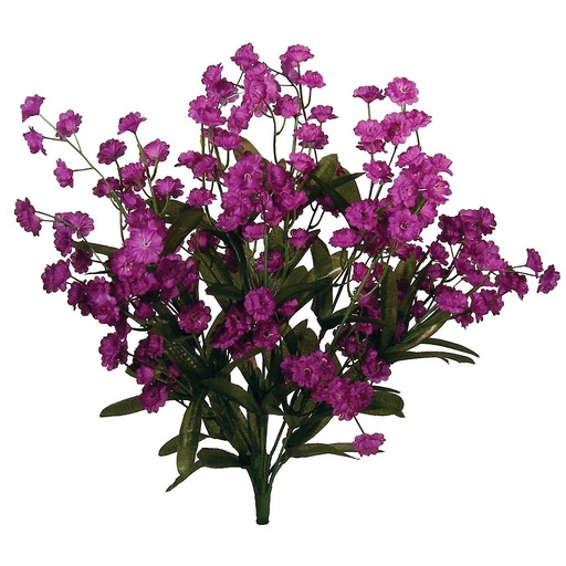 [S42887-PUR] GYP BUSH X10 PURPLE