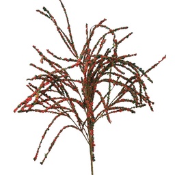 [S1165-GRD] BERRY/MINI 36&quot; SPRAY GRN/RED (1 PC BAG)