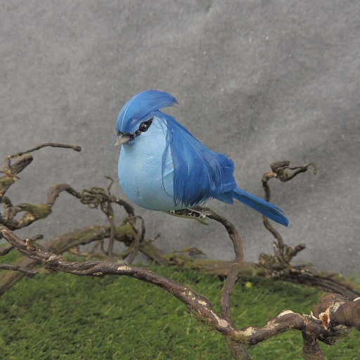 [BN7027] BLUEBIRD 5" FEATHER/MUSHROOM W/CLIP