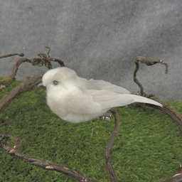 [BN7032] BIRD GREY 4" FEATHER/COTTON W/CLIP